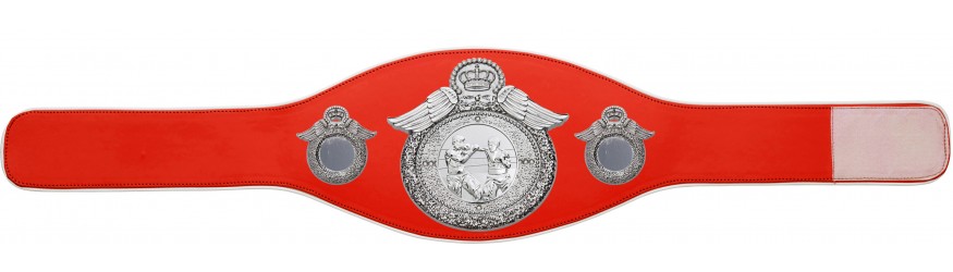 BOXING CHAMPIONSHIP BELT-PROWING/S/BOXS-6+ COLOURS